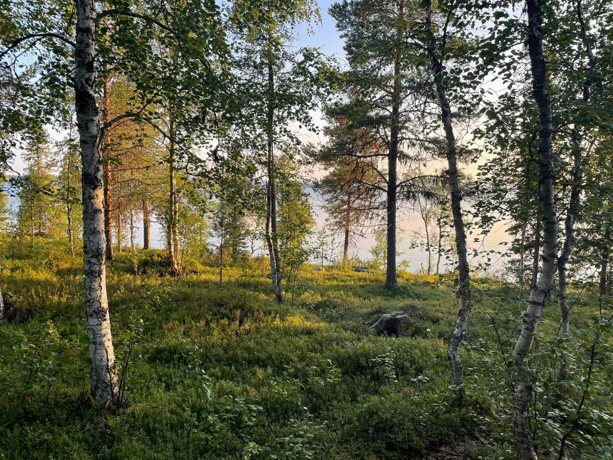 Lapland Dream Villas Rauhala Екстериор снимка